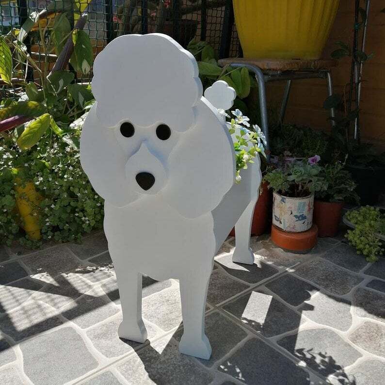 PawPlanter